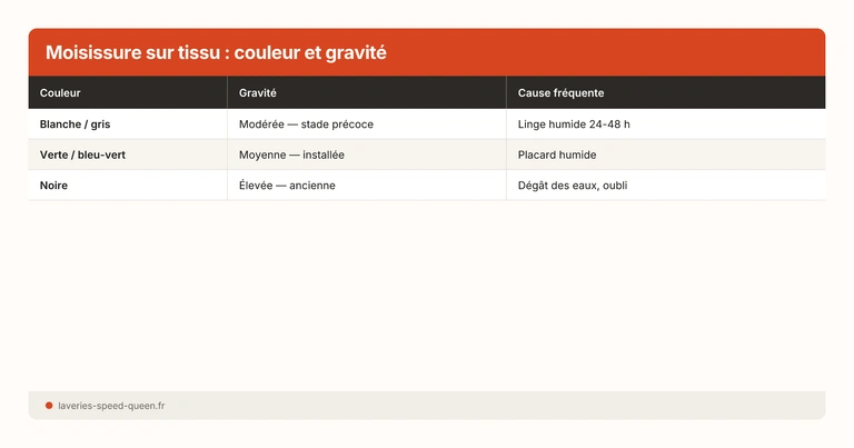 Enlever une tache de moisissure sur du tissu : méthodes et prévention