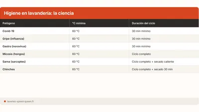 Higiene en lavandería: lo que dice la ciencia