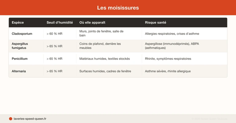 Sécher linge intérieur appartement humidité moisissures condensation fenêtre science